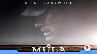 Photo of A Mula, o novo (e último) filme de Clint Eastwood