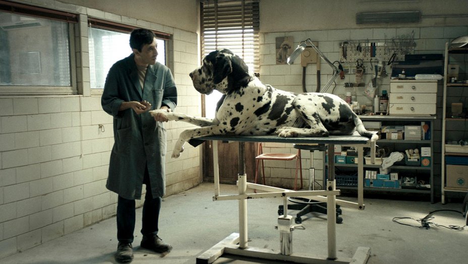 Marcello cuida de um dos cachorros em Dogman