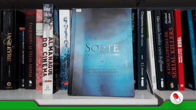 Photo of Sorte – Um Caso de Estupro, livro de Alice Sebold