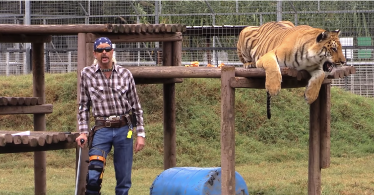 O documentário intercala cenas de entrevistas com cenas dos zoológicos 