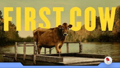 Photo of First Cow – A Primeira Vaca da América