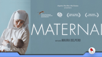 Photo of Maternal – A maternidade em todas as suas formas
