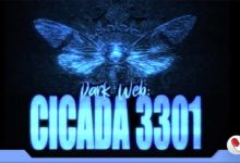 Photo of Dark Web: Cicada 3301