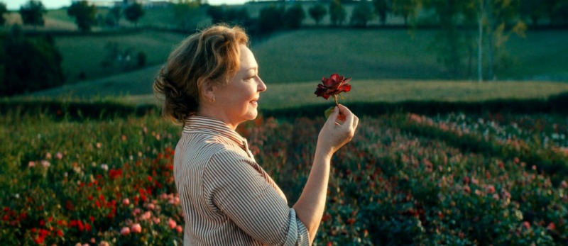 O filme acompanha uma designer de rosas