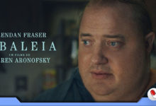 Photo of A Baleia